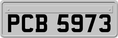 PCB5973