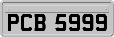 PCB5999