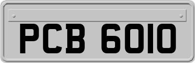 PCB6010
