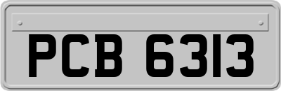 PCB6313