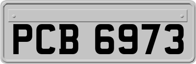PCB6973