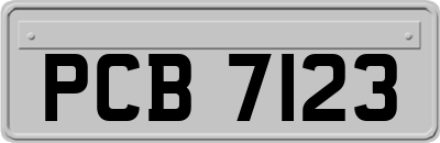 PCB7123