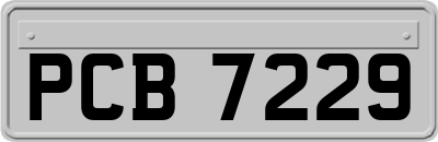 PCB7229