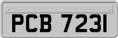 PCB7231