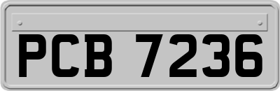 PCB7236