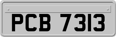PCB7313