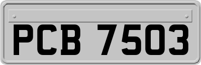 PCB7503