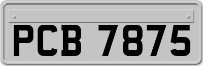 PCB7875