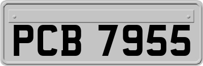 PCB7955