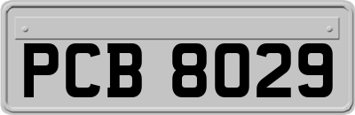 PCB8029