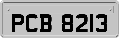 PCB8213