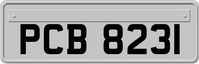 PCB8231