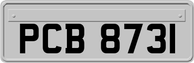 PCB8731