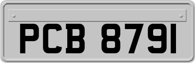 PCB8791