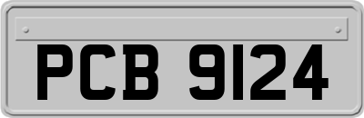 PCB9124