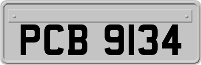 PCB9134