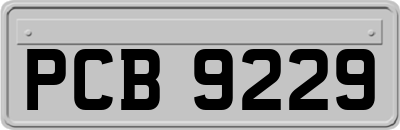 PCB9229