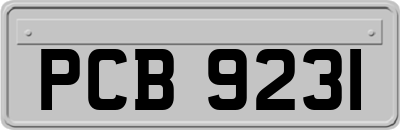 PCB9231