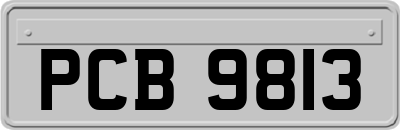 PCB9813