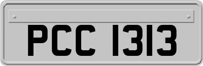 PCC1313