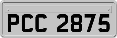 PCC2875