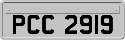PCC2919