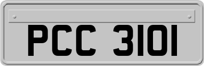 PCC3101