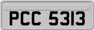 PCC5313