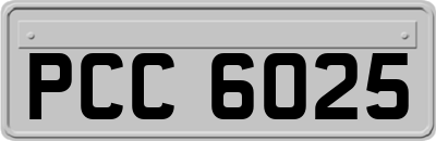 PCC6025
