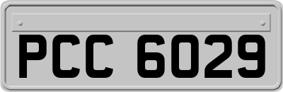 PCC6029