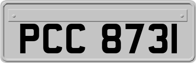 PCC8731