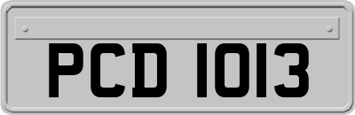 PCD1013