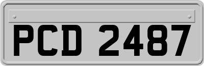 PCD2487