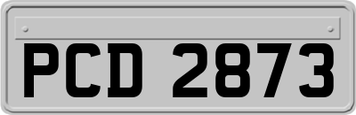 PCD2873