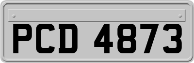 PCD4873