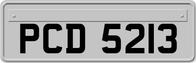 PCD5213