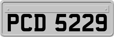 PCD5229