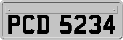 PCD5234