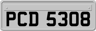 PCD5308