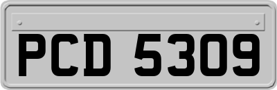 PCD5309