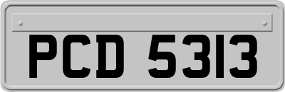 PCD5313