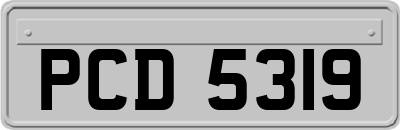 PCD5319