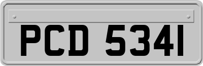 PCD5341