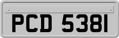 PCD5381