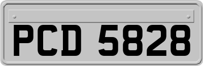 PCD5828