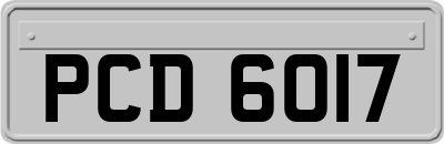 PCD6017