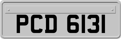 PCD6131
