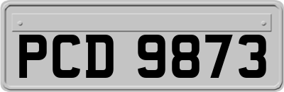 PCD9873