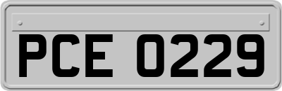 PCE0229