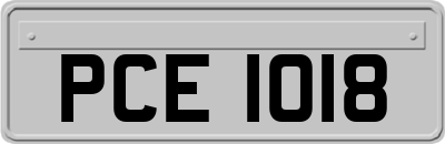 PCE1018